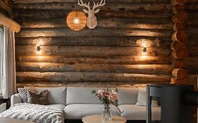 Ruka Loft Kuukkeli, 2 Ski Lift Passes Included